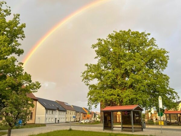 Bike Stadl Fahrradvermietung Lausitzer Seenland Senftenberger See Regenbogen