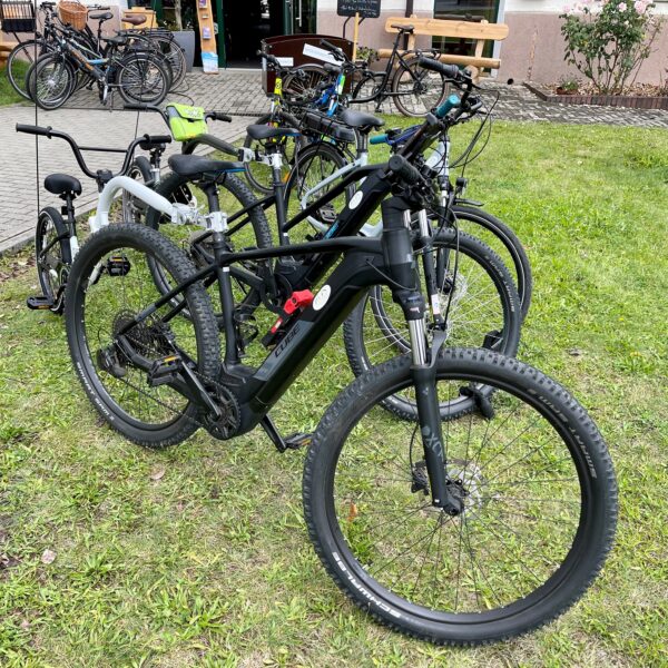 Bike Stadl Trail-Bike Fahrradvermietung Senftenberger See Lausitzer Seenland Großkoschen