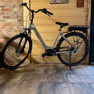 E-Bike Tiefeinsteiger BBF 28 Zoll mit Rücktrittbremse