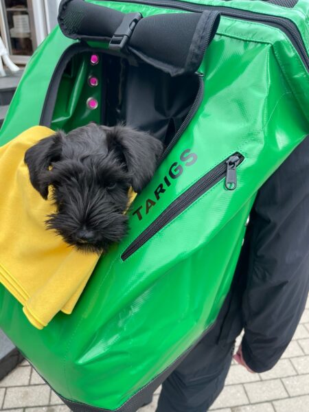 Bike Stadl Targis Hunderucksack Fahrradvermietung Lausitzer Seenland Senftenberger See