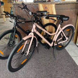 SUSHI E-Bikes ab sofort im BIKE STADL