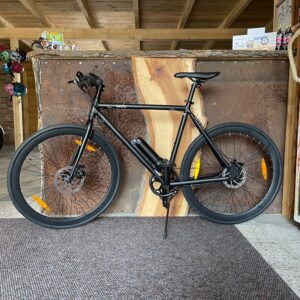 E-Bike SUSHI MAKI M1 Herren bis 40km Unterstützung