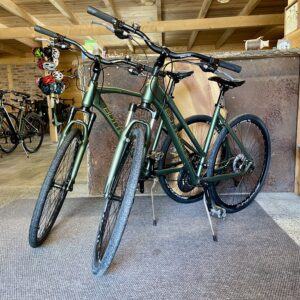 Crossrad Bottecchia Lite 21-Gang 28 Zoll