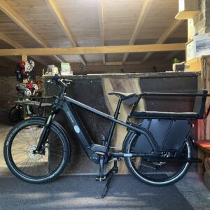 E-Bike Riese & Müller Multicharger GT Familiy