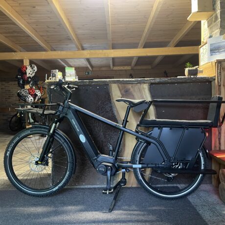E-Bike Riese & Müller Multicharger GT Familiy