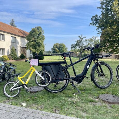 E-Bike Riese & Müller Multicharger GT Familiy