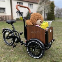 Kinderlastenrad Chanty Kids Cargo 16 Zoll