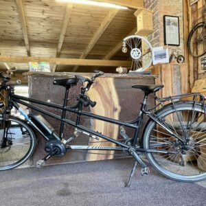 E-Tandem BBF mit Bosch Mittelmotor